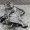 Suport punte dreapta AUDI A5 F53 2019 OEM: 8W0399296E | 31619409