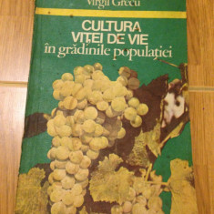 Cultura vitei de vie in gradinile populatiei/autor Virgil Grecu/1983