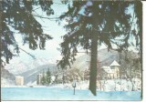 #carte postala-VALCEA-Caciulata-Peisaj de iarna, Circulata, Printata