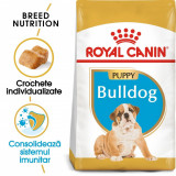 Cumpara ieftin Royal Canin Bulldog Puppy hrana uscata caine junior