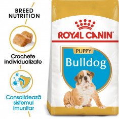 Royal Canin Bulldog Puppy hrana uscata caine junior