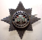 I.702 IRLANDA INSIGNA MILITARA EMBLEMA COIFURA CUC BERETA SAPCA CASCHETA