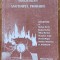 Anotimpul probabil - Nicolae Baciut
