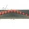 PERIE ROTATIVA ASPIRATOR RS-RH5766 GROUPE SEB