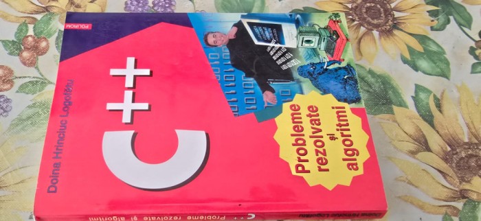 Doina Hrinciuc Logofatu C++ probleme rezolvate algoritmi