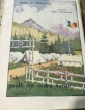 0001R Sub poala de codru verde Teofil Gh, Sidorovici, manual de instruire Straje Strajerime RAR