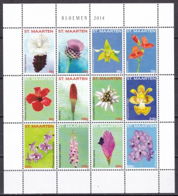 St. Maarten 2014 flori kleib. MNH foto