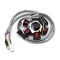 Magnetou Stator Aprindere Scuter Piaggio Piagio Zip 49cc 50cc 80cc