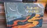 Cat de fierbinti sunt vulcanii. Vulcanismul - Francoise Laurent