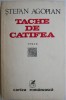 Carte Tache de catifea Stefan Agopian Beletristica Anticariat Stare Buna