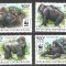 Fauna, maimute, gorile, R. Centrafricana, 2015, WWF, MNH