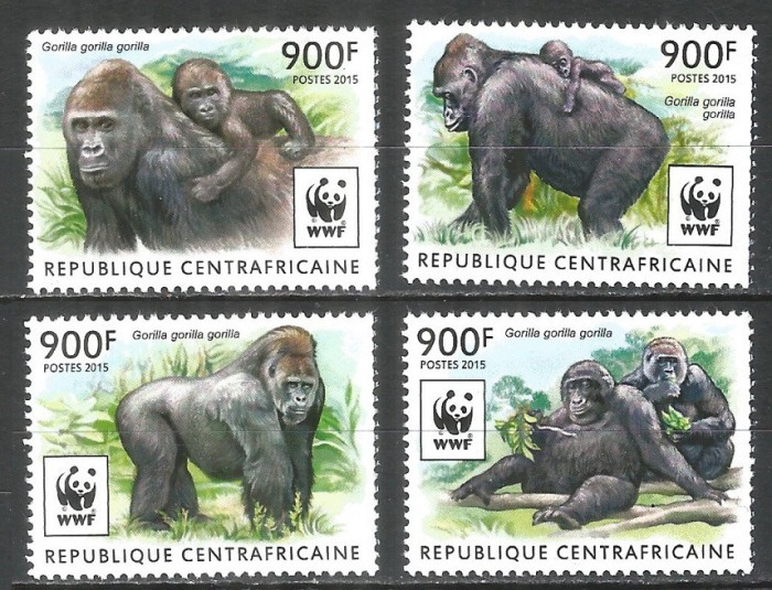 Fauna, maimute, gorile, R. Centrafricana, 2015, WWF, MNH