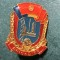Insigna Brigadier UTC