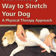 The Healthy Way to Stretch Your Dog: A Physical Therapy Approach