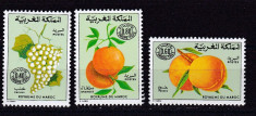 Maroc 1978 fructe MI 37-39 MNH w57 foto