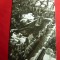 Ilustrata Cluj - Vedere din Parc , circulat 1967