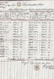 A3059N Extras de carte funciară, 1855, T&acirc;rgu Lăpuș, Maramureș