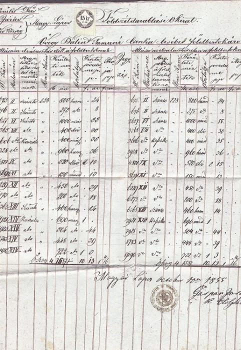 A3059N Extras de carte funciară, 1855, T&acirc;rgu Lăpuș, Maramureș