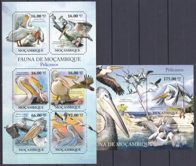DB1 Fauna Pasari Mozambic Pelicani MS + SS tMNH foto
