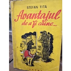 Avantajul de a fi caine - Stefan Tita