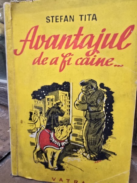 Avantajul de a fi caine - Stefan Tita