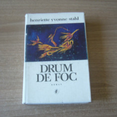 Henriette Yvonne Stahl - Drum de foc