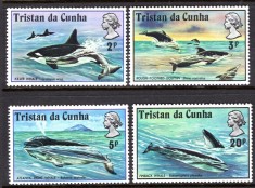 Fauna, Tristan da Cuhna, balene, delfini, 1975, MNH foto