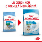 Royal Canin Mini Starter Mother &amp; BabyDog, mama și puiul, hrană uscată c&acirc;ini, 1kg