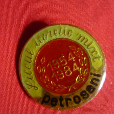 Insigna Liceul Teoretic Mixt Petrosani 1984 , metal si email , h=2,1cm