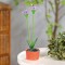 Floare colorata solara - 8 x 8 x 32 cm - 10 LED-uri alb cald - violet Best CarHome