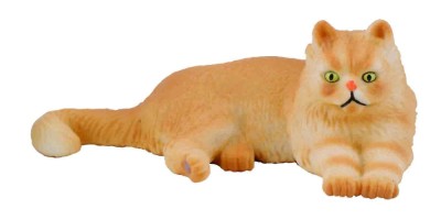 Pisica persana - collecta foto
