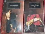 Fetele tacerii - Augustin Buzura 2 volume