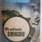 Pe colinele Semenicului &ndash; Anton Breitenhofer