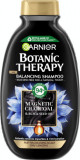 Garnier Botanic Therapy Șampon Magnetic Charcoal &amp; black seed oil, 250 ml
