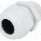 Presetupa poliamida, NPT3/4&quot;, IP68, HELUTOP HT-NPT, HELUKABEL - HT 3/4&rdquo; RAL7035 BSK NPT
