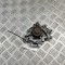Pompa de apa OPEL COMBO Box Body/MPV K9 2022 OEM: 1628941780,Z16001023
