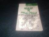 PETRU IDRICEANU - REVELION PE MALUL LACULUI
