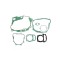 Kit garnituri motor ATV 250 cm3 China
