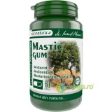 Mastic Gum 60cps
