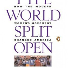 The World Split Open: How the Modern Women's Movement Changed America