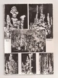 FA139 -Carte Postala- FRANTA - Aven Armand, circulata