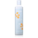 Echosline Hydrating Shampoo sampon hidratant pentru par uscat si indisciplinat 300 ml