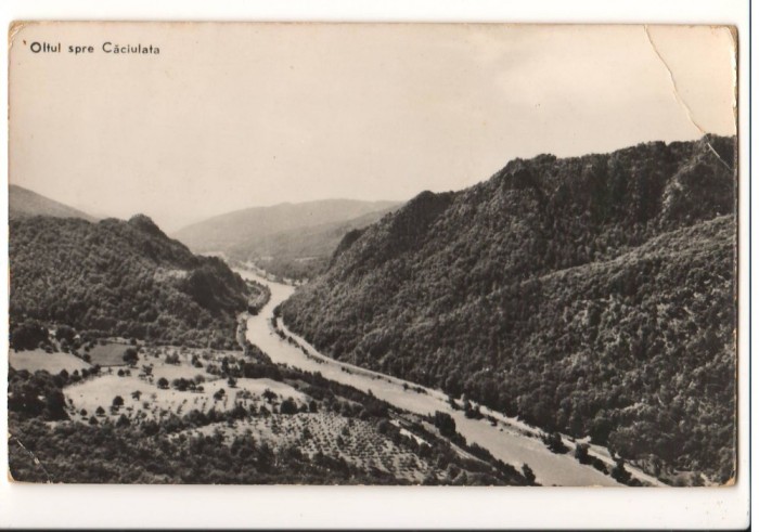 CPI B 10831 CARTE POSTALA - OLTUL SPRE CACIULATA, RPR