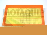 MOTAQUIP VFA1177 Filtru aer