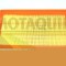 MOTAQUIP VFA1177 Filtru aer