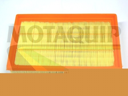 MOTAQUIP VFA1177 Filtru aer
