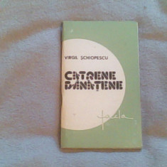 Catrene banatene-Virgil Schiopecu