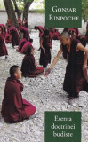 Esenta doctrinei budiste | Gonsar Rinpoche