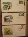 FAUNA WWF - 3 PLICURI PRIMA ZI