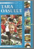 Cumpara ieftin Tara Oasului - Stefan Iancu, Ioan Nistor, editia a II-a, 2009, romana, engleza, franceza, spaniola, brosata, 978-973-0-06894-8